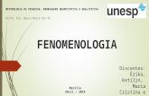 FENOMENOLOGIA - slides