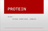 Protein Riska Hj