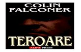 Colin Falconer - Risc