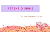 55721890 Retensio Urine