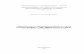 Miguel do Nascimento - Poderes do juiz e as relações entre direito material e processo - 210 pgs.pdf