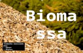 Biomassa Madeira