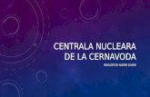Proiect fizica  despre Centrala Nucleara de La Cernavoda