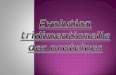 Evolution tridimentionnel des protéines