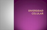 Diversidad Celular