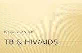 Tb & Aids Hiv 2015