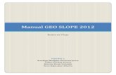 Formato Manual Geo Slope