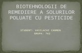 PPT biotehnologii