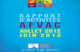 _Rapport Activites 2013