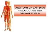 2 Anatomi Dasar Dan Fisiologi