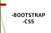 Bootstrap Css