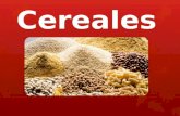 Expo Cereales