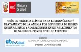 Gpc Perú 2015 Anemia Ferropénica Niños y Adolescentes