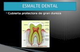 Esmalte Dental