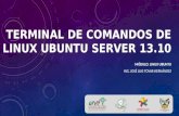 Terminal de Comandos en Linux Ubuntu Server 13.10