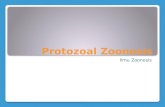 Zoonotic Protozoa