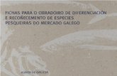 Especies Pesqueiras Do Mercado Galego