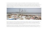 La Mayor Parte de Los Residuos Marinos Son Plásticos