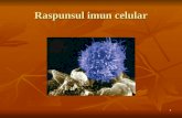 Raspunsul Imun Celular