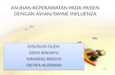 Avian Swine Influenza