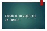 Abordaje Diagnóstico de Anemia