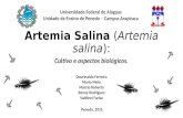 Artêmia Salina (Artemia Salina).ppt