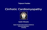 Cirrhotic Cardiomyopathy