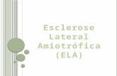 Esclerose Lateral Amiotrófica