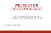 Revisao Parasito- PDF