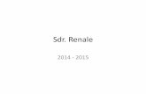 Sdr Renale 2015_2