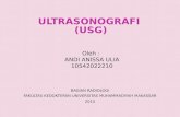 Ultrasonografi (Usg)