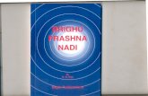 brighu-prashna-nadi (1)