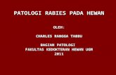 Patologi Rabies 2011