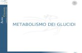 3-Metabolismo Dei Glucidi