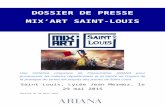 L'opération MIX ART Saint Louis 2015
