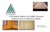 12 Nitens en CMPC Maderas - Jose Jordan Mardones