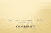 Apresentação sobre chikungunya