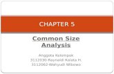Common size analysis