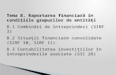 Tema_8_raportarea Financiara in Conditiile Grupurilor de Entitati
