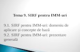 Tema 9 SIRF Pentru IMM-uri