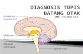 Tugas Neuro - Diagnosis Topis Batang Otak