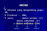 amina ( kimia organik )