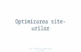 prezentare-optimizare (1) PR online