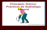 Protección Auditiva Laboral Jun10