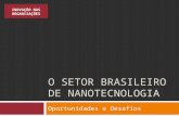 o Setor Brasileiro de Nanotecnologia