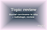 Topic review 6월 DCIS.pptx