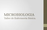 Clase 1 - Microbiologia