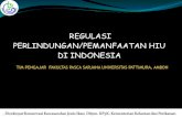 Regulasi Perlindungan Dan Pemanfaatan Hiu Di Indonesia