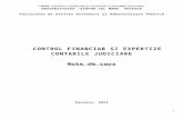 156375969 Control Financiar Si Expertize Contabile Judiciare Note Curs
