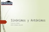 Sinónimos y Antónimos.pptx